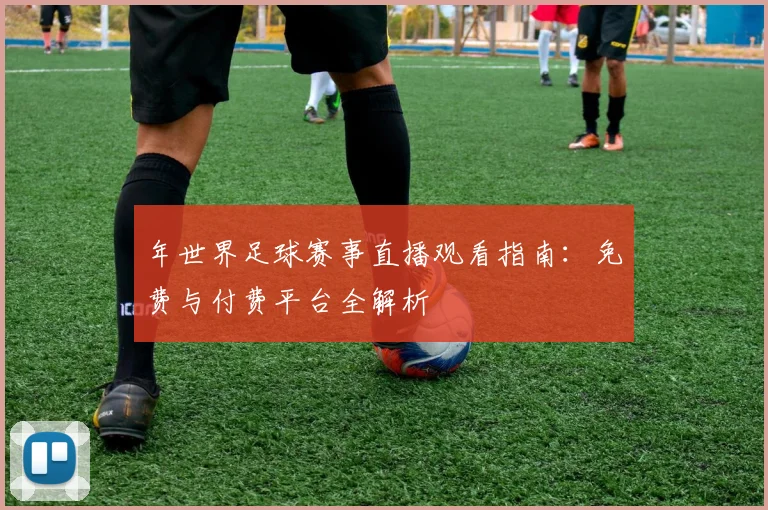 年世界足球赛事直播观看指南:免费与付费平台全解析