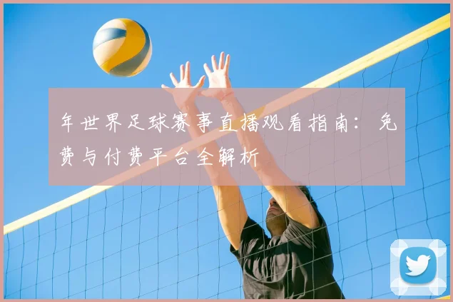 年世界足球赛事直播观看指南：免费与付费平台全解析